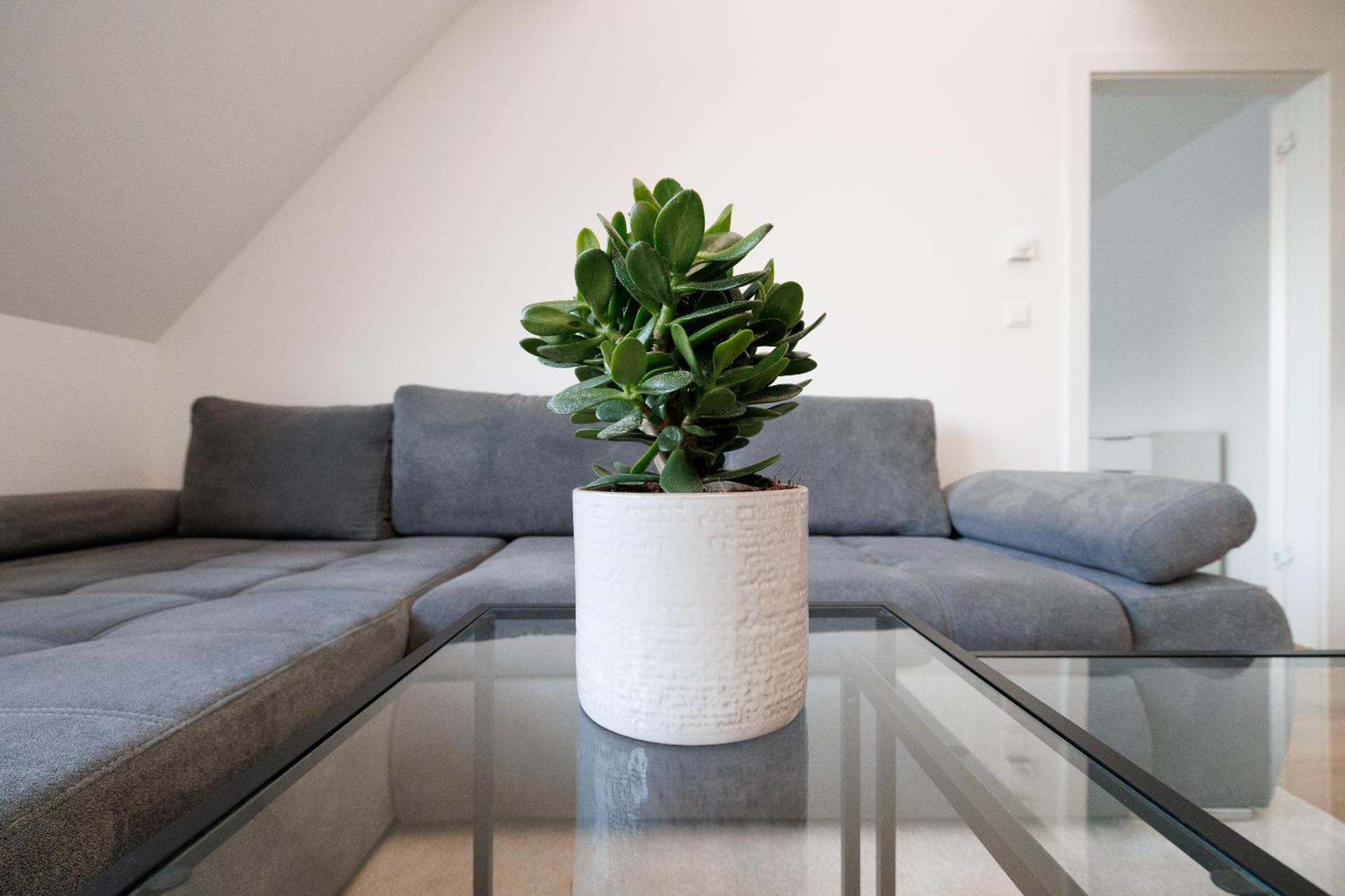 Symphony Apartments 41 - Modern Loft With Terrace And Grill In Central Location Viena Exterior foto